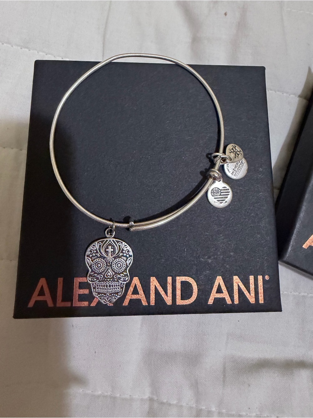 Alex and Ani Silver Sugar Skull Charm Bangle Bracelet